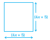 Page 239 Chapter 7 Class 8th NCERT Exemplar